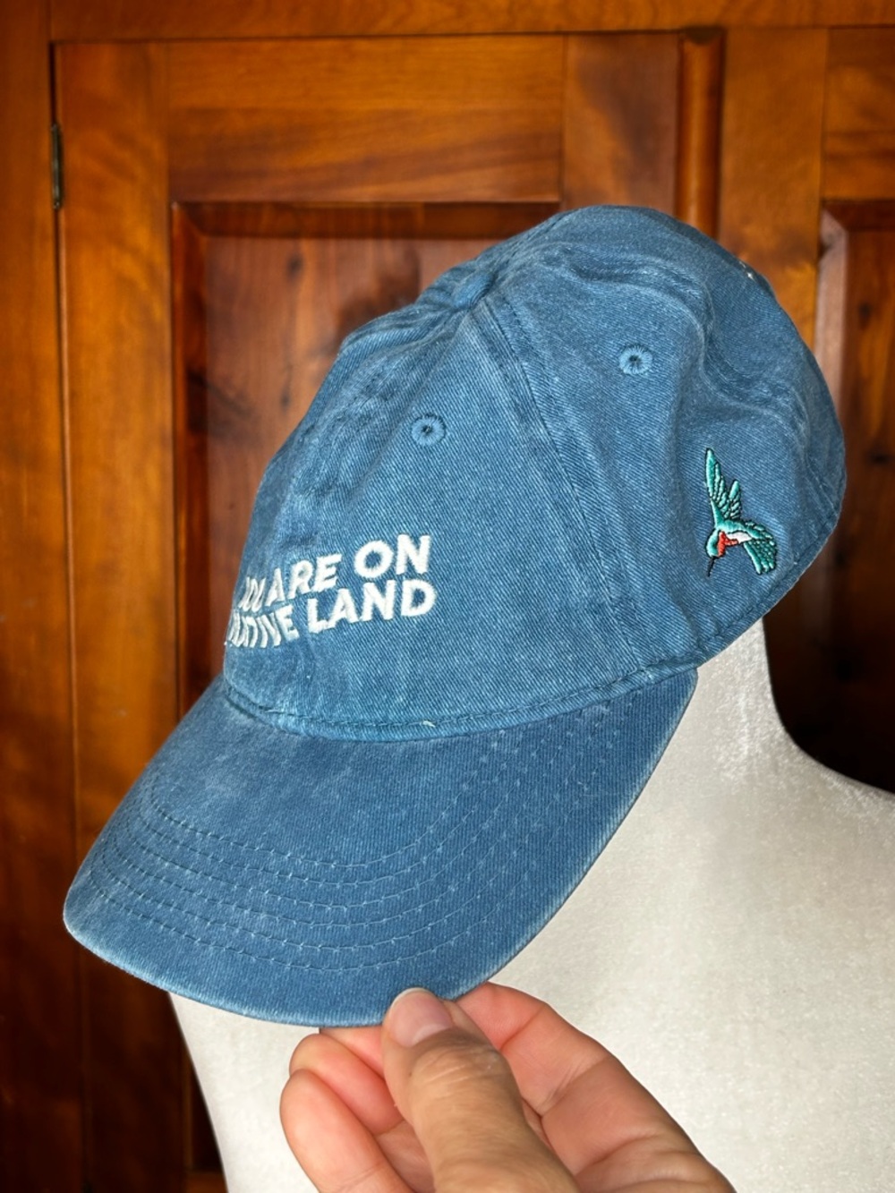 Urban Native Era Hummingbird Embroidered Organic Hat - "YOU ARE ON NATIVE LAND"
